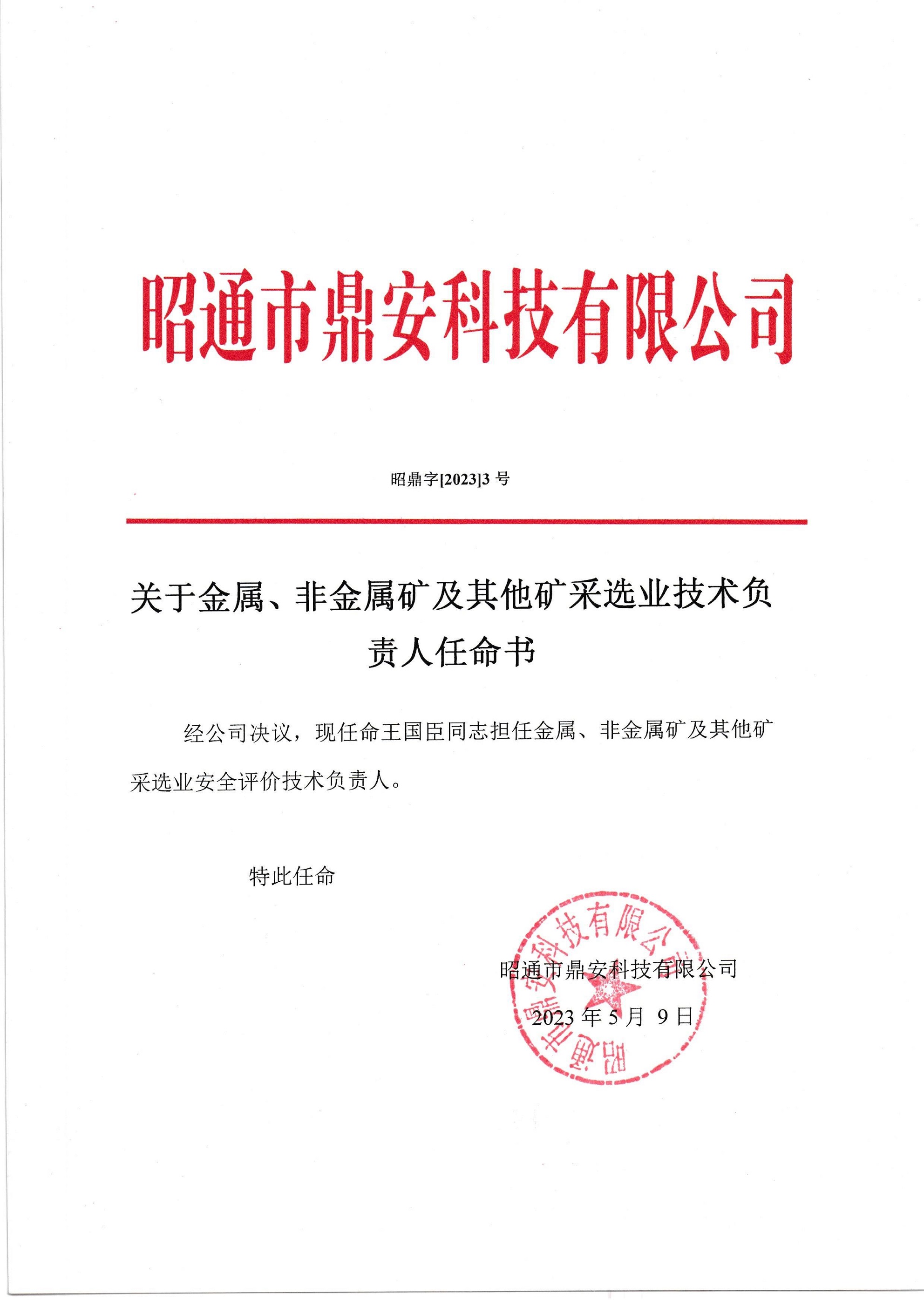 關(guān)于金屬、非金屬礦及其他礦采選業(yè)技術(shù)負(fù)責(zé)人任命書-王國臣_2.jpg